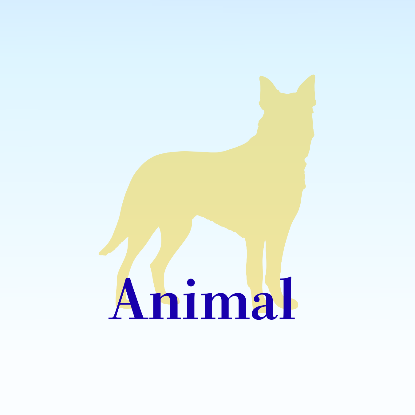 Animal